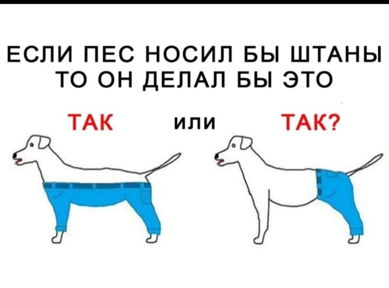 Смешные логические загадки в картинках