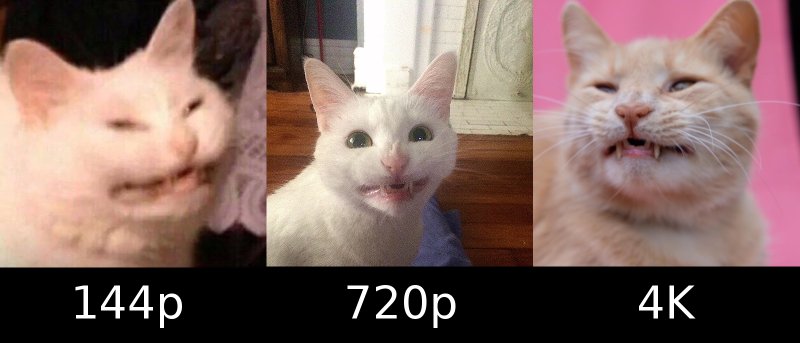 Лицо кота Мем