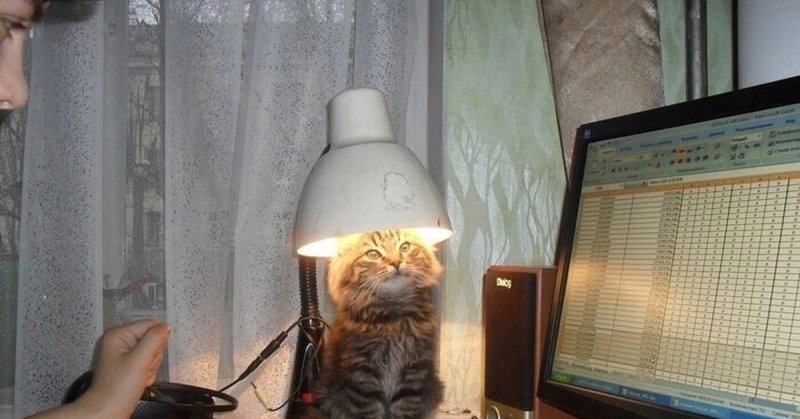 Ламповый кот