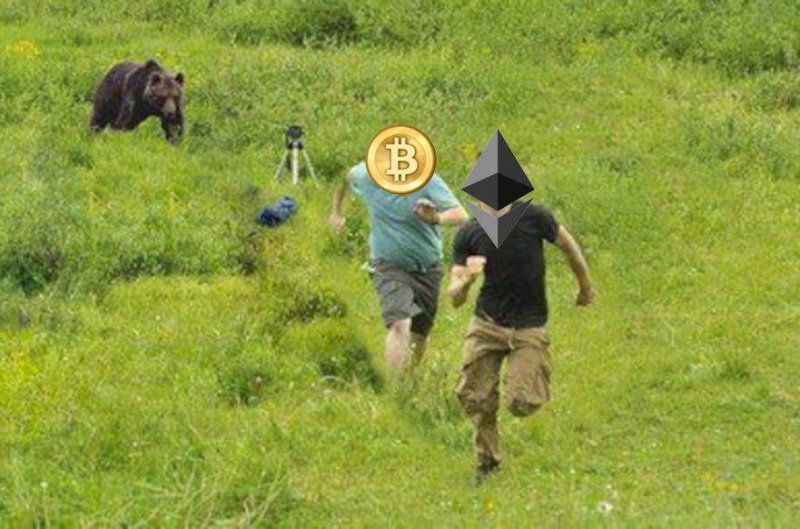 Фотографы убегают от медведя