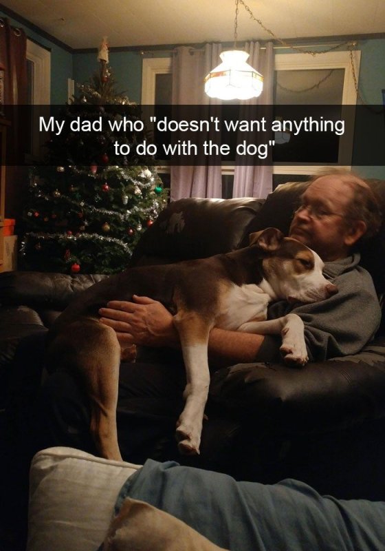 Папа собака