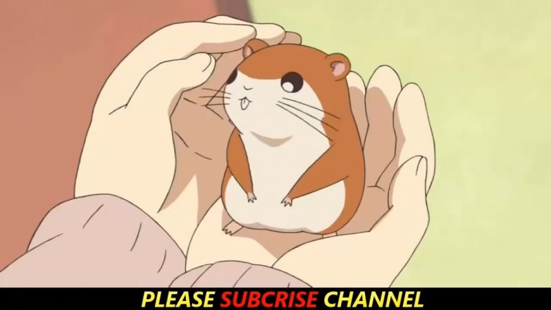 Анимешный хомяк