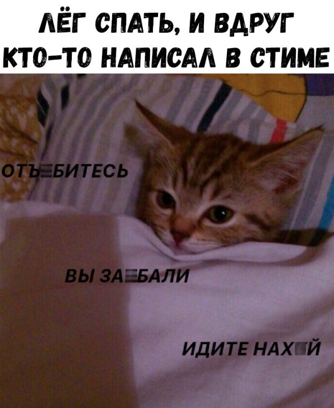 Кот проснулся Мем