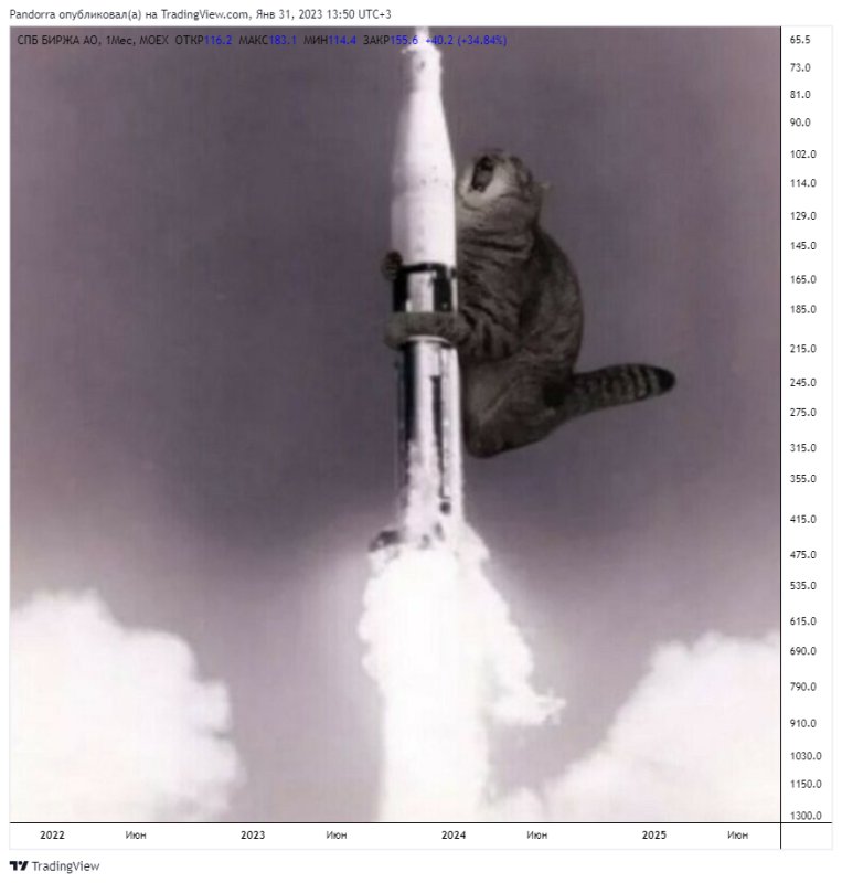 Кот на ракете вниз