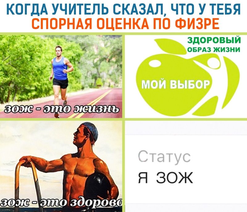 Здоровый образ жизни смешные картинки
