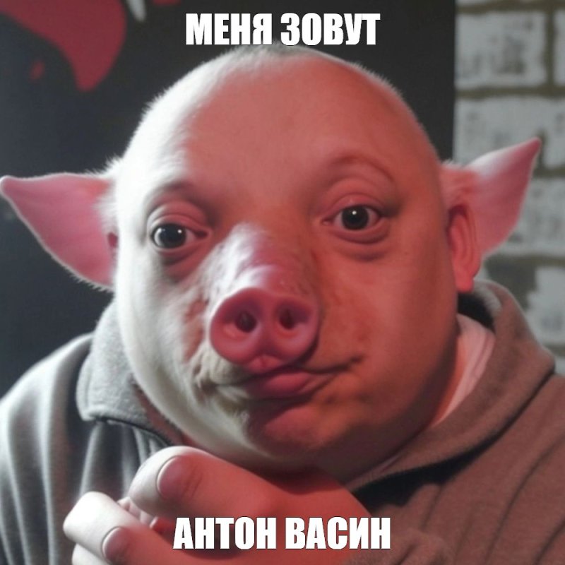 Толик Мем со свиньей
