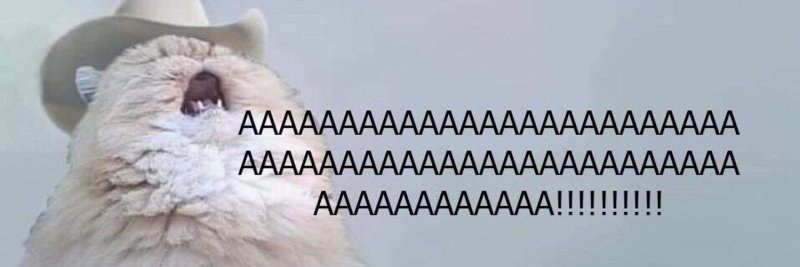 Кот орет аааа