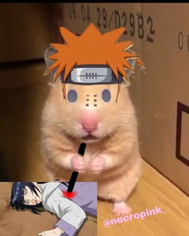 Хомяк Саске