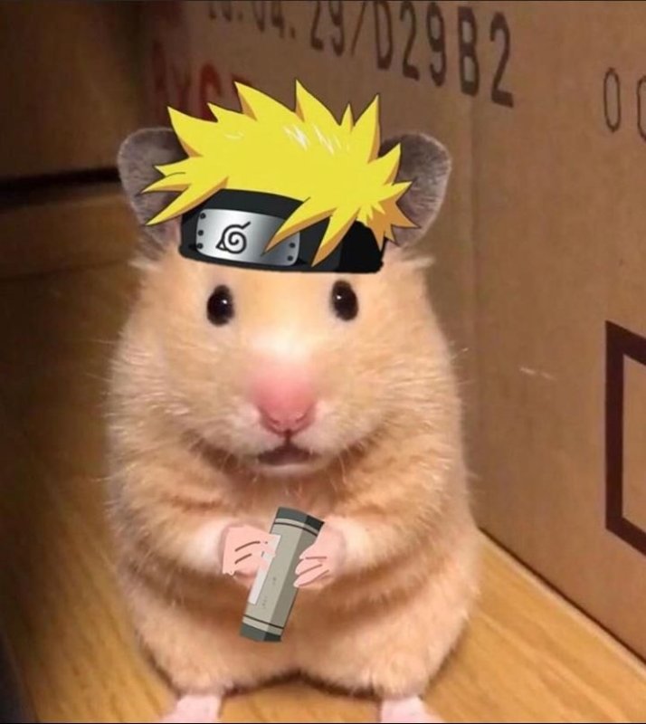 Хомяк на аву