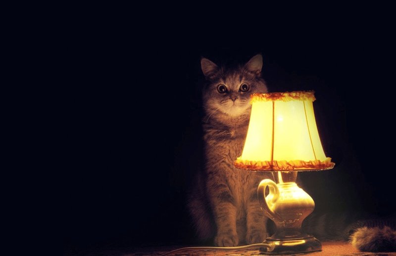 Вечер охуительных историй