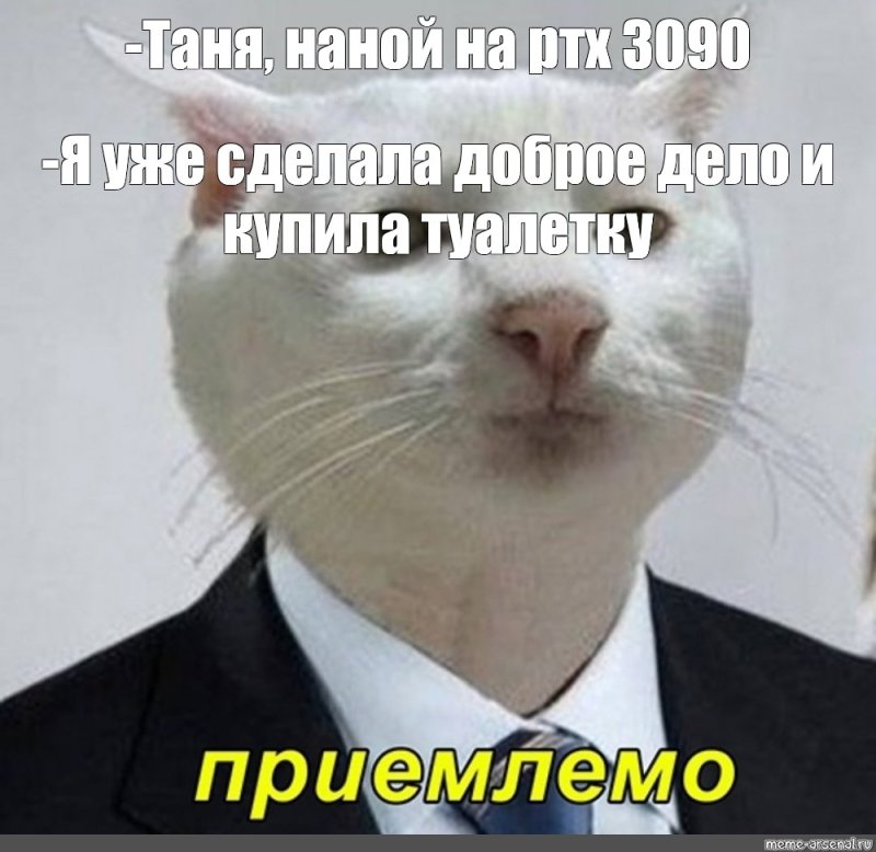 Кот в костюме Мем