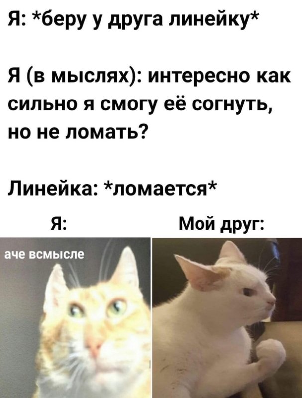 Аче в смысле кот
