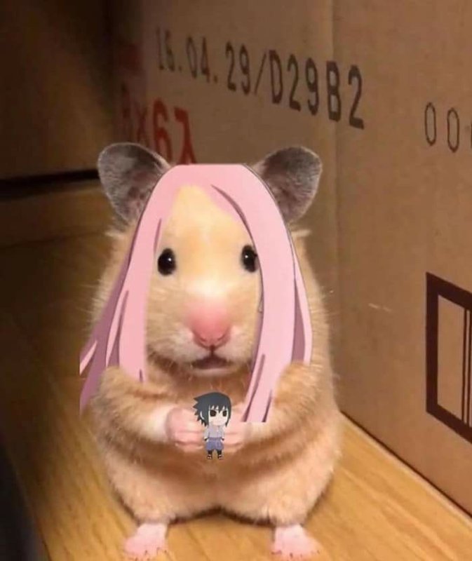 Анимешный хомяк