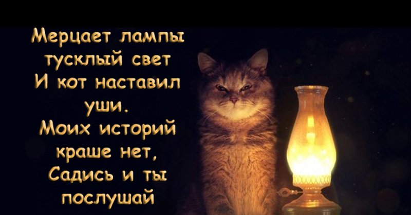 Котик с лампой