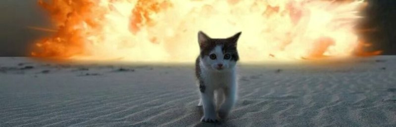 Кот на фоне взрыва