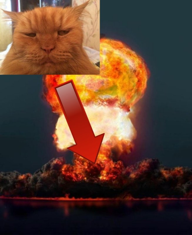 Ядерный кот