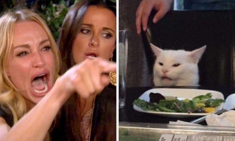 Мем с котом и девушками за столом