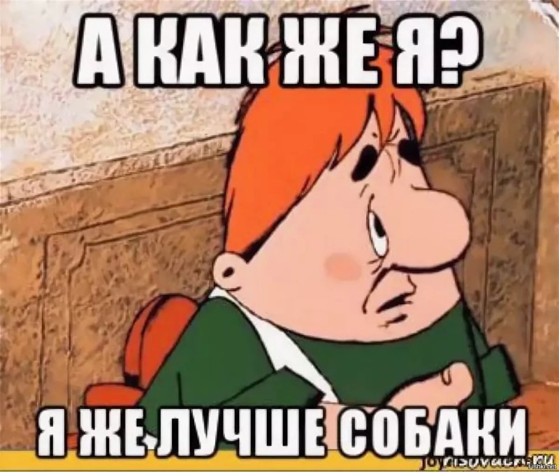 Я ведь лучше собаки