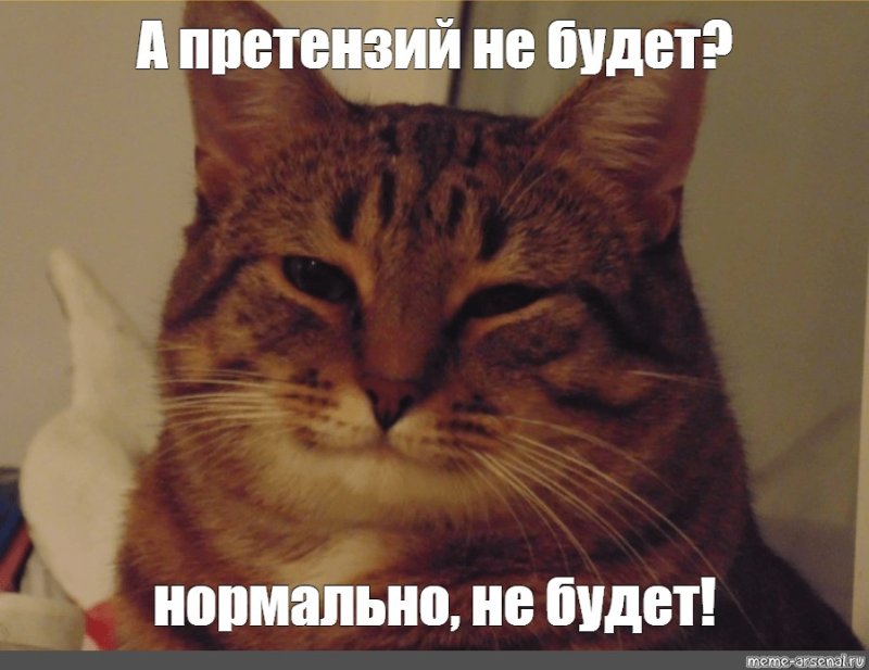 Котик улыбается Мем
