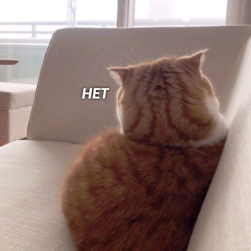 Кот обиделся