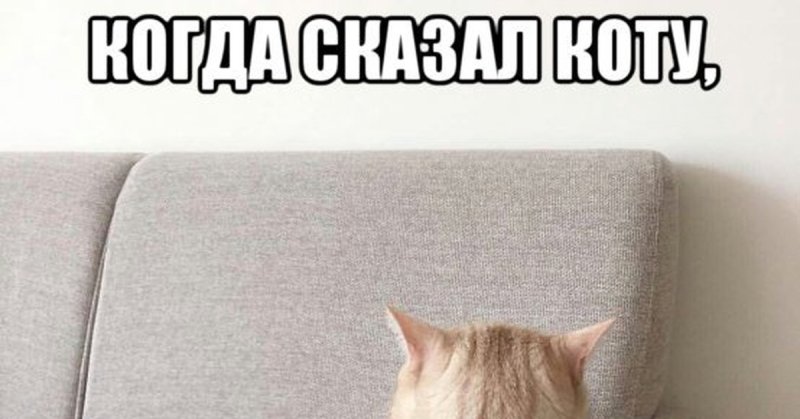 Обиженный котенок Мем