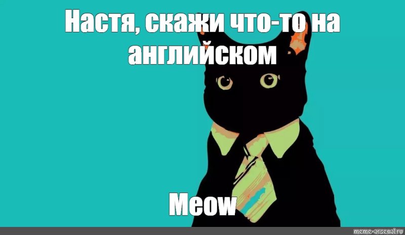 Кот в пиджаке Мем