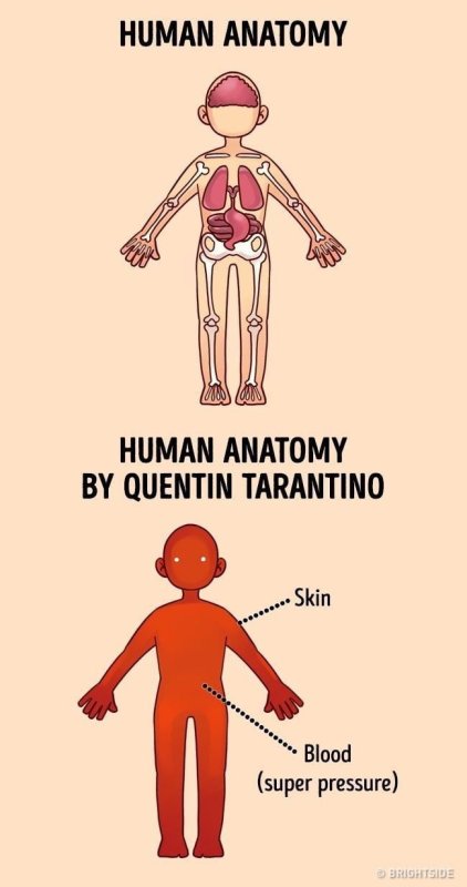 Анатомия человека по мнению Тарантино