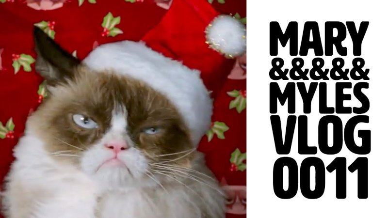 Новогодний кот сердитый