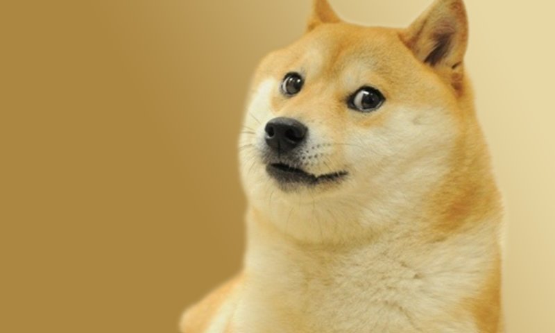Сиба ину Doge meme