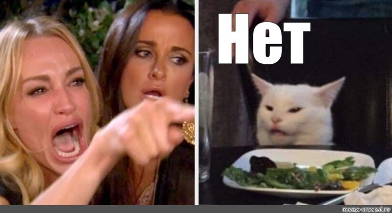 Мемы про кота и двух женщин