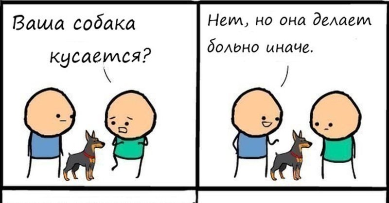Собака делает больно иначе