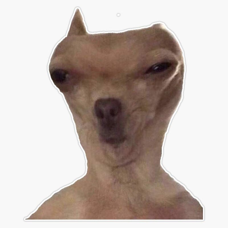 Упоротый собака