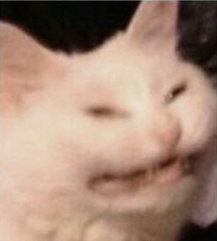 Кот с Кривой улыбкой Мем