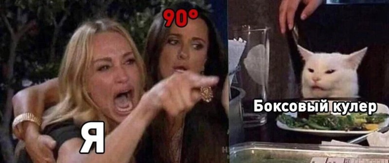 Мем женщина и кот