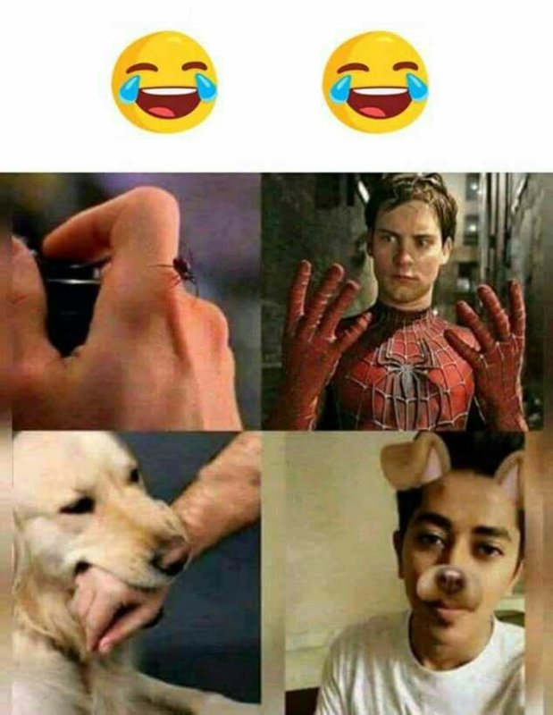 Паук который укусил Питера Паркера