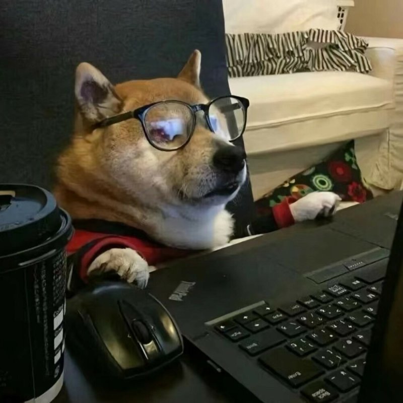 Собака хакер