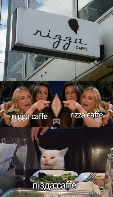 Мемы с котом за столом и девушками