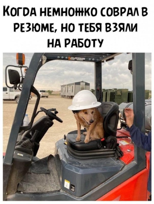 Мемы для поднятия настроения девушке