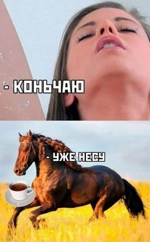 Конь чаю