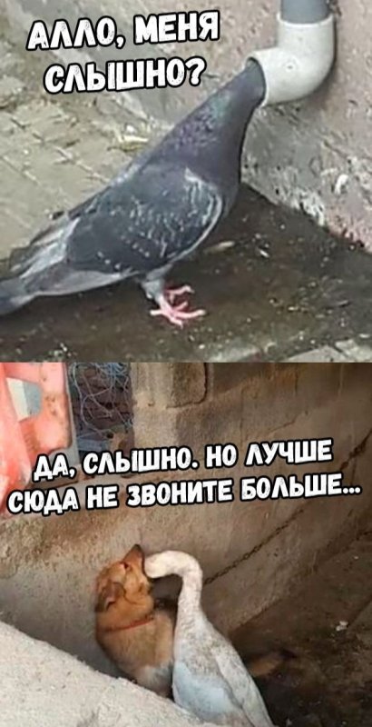 Меня слышно не звоните сюда больше