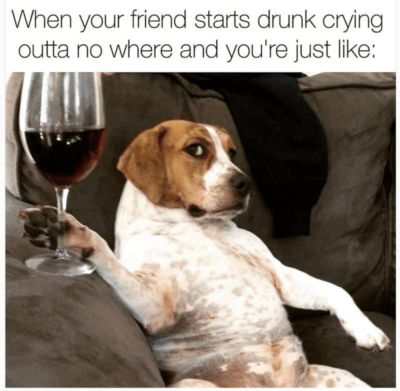 Животные и вино