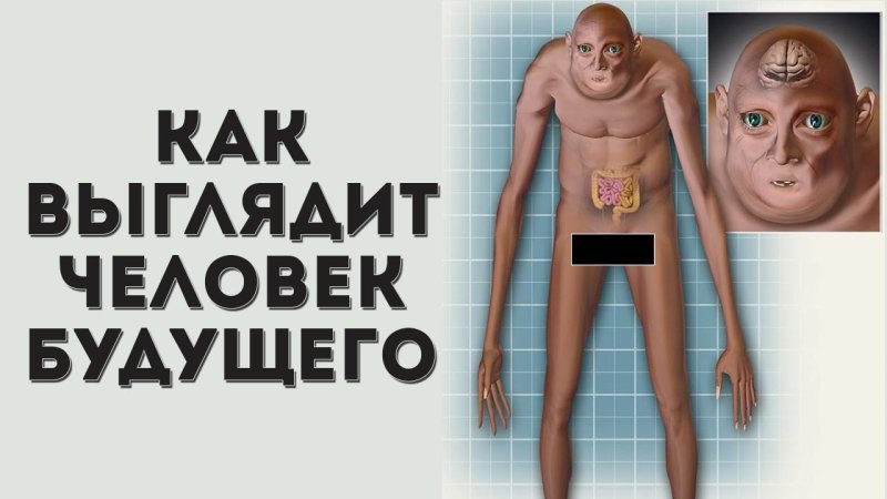 Как будут выглядеть люди в будущем