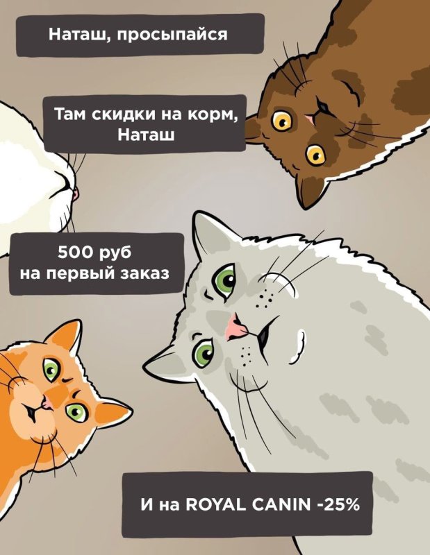 Мемы с котами и Наташей