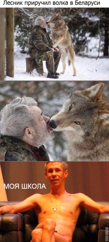 Одинокий волк мемы