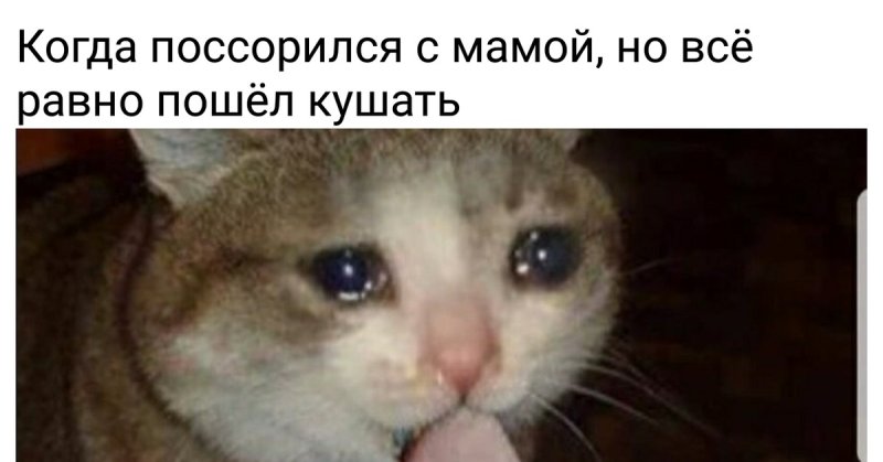 Плачущий кот Мем