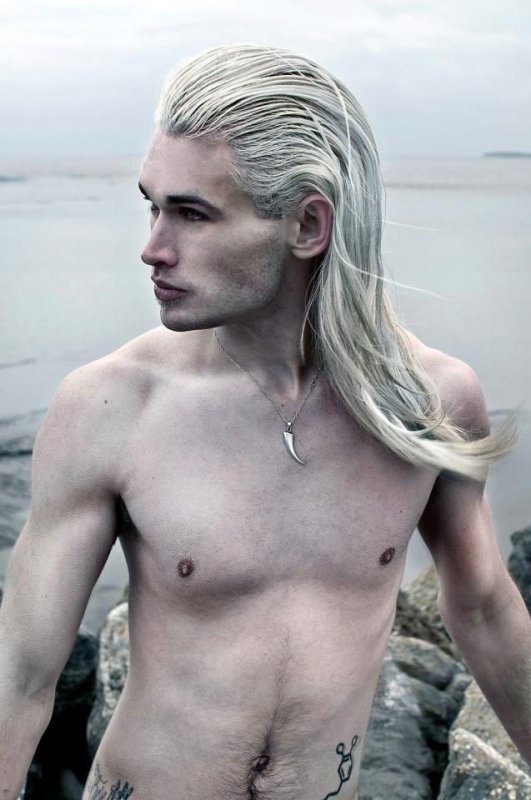 Пепельные волосы мужские длинные