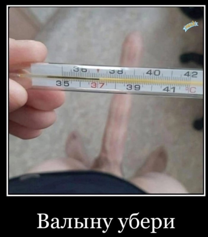 Температура 37