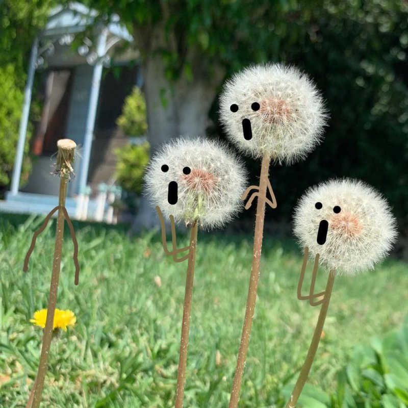 Веселый одуванчик