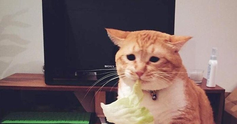 Атилла с кошкой