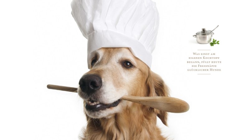 Щенок повар